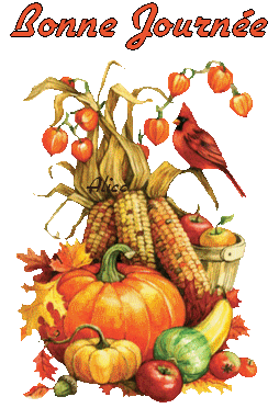 Afficher l'image d'origine