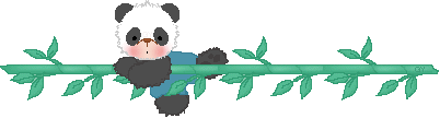 Animaux (Panda)