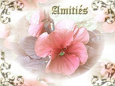 Amitiés (fleurs)